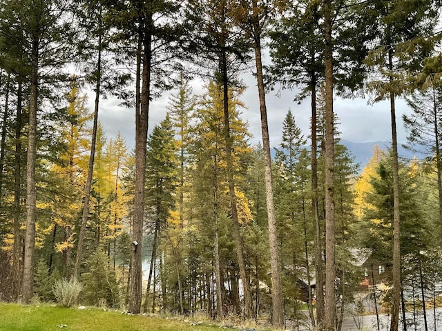 view of nature with a mountain view