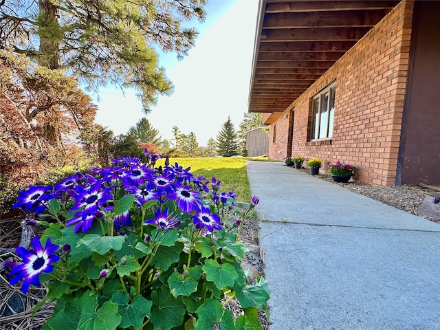 view of yard with a patio area