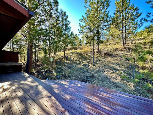 deck with a jacuzzi