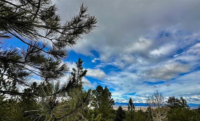 view of landscape featuring a mountain view