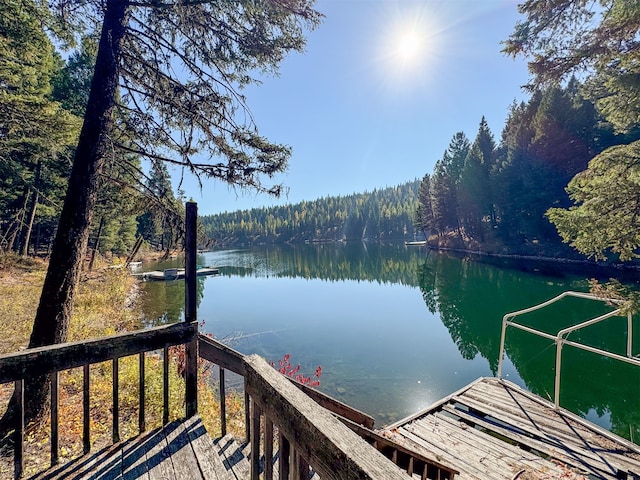 dock area with a water view