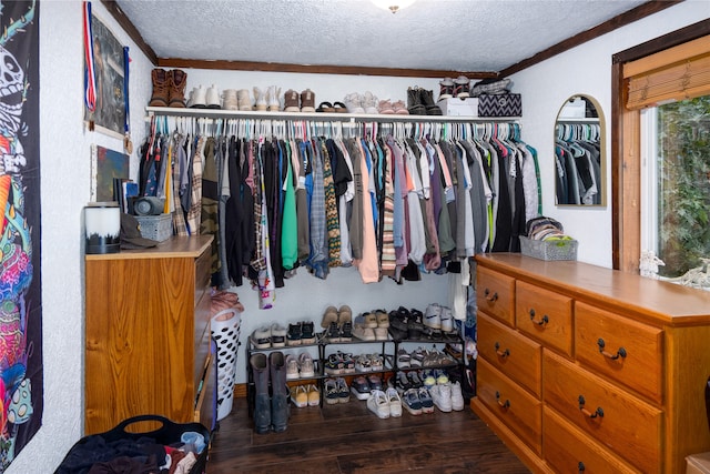 walk in closet featuring dark wood-type flooring