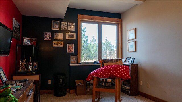 4025 Sunset Ridge Dr, Helena, MT 59602 - interior space featuring carpet flooring