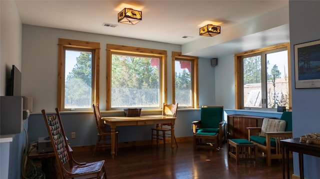 4025 Sunset Ridge Dr, Helena, MT 59602 - sitting room with a wealth of natural light, wood finished floors, visible vents, and baseboards