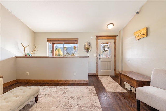 foyer with dark wood-type flooring