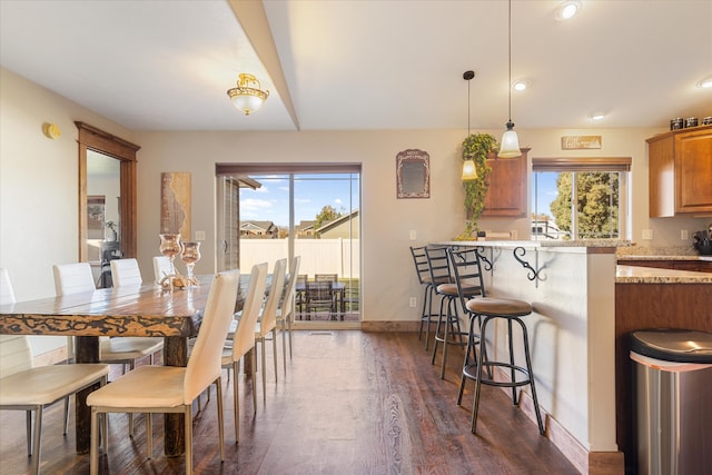 dining area featuring a wealth of natural light and dark hardwood / wood-style flooring