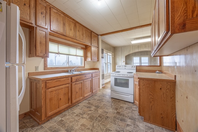 kitchen with white appliances, a healthy amount of sunlight, and sink