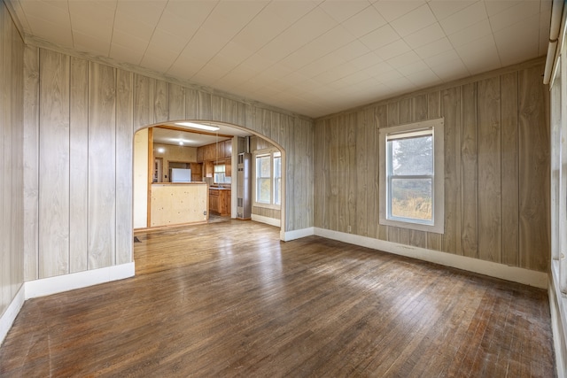 unfurnished living room featuring wood walls and wood-type flooring