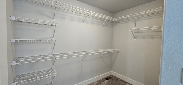 spacious closet featuring carpet flooring