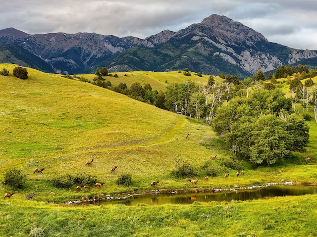 property view of mountains featuring a water view and a rural view