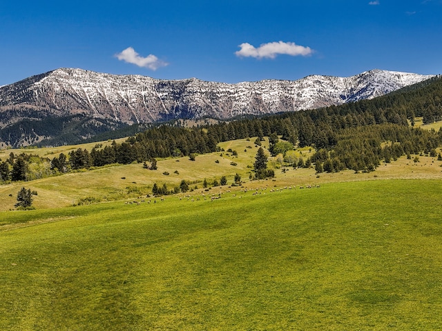 view of mountain feature