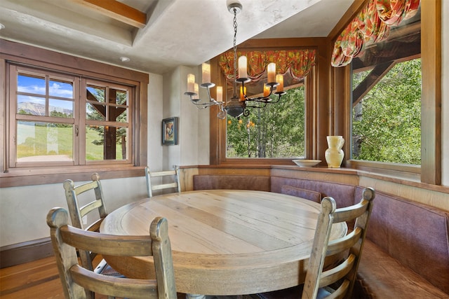 dining space featuring a healthy amount of sunlight, a chandelier, and hardwood / wood-style floors