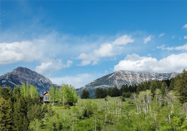 view of mountain feature