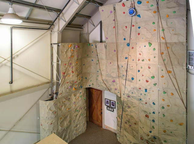 basement with carpet floors