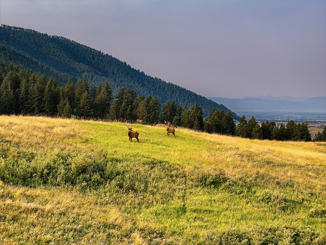 property view of mountains with a rural view