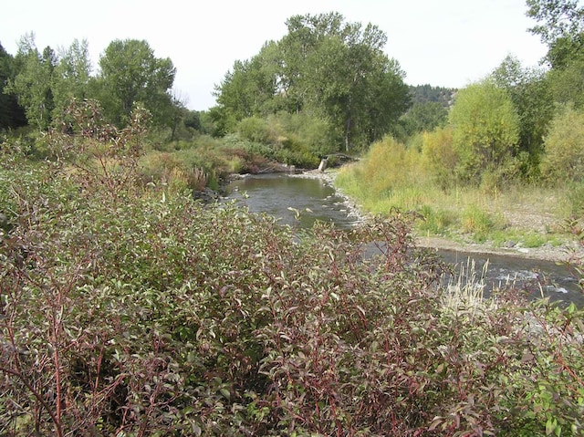 view of nature