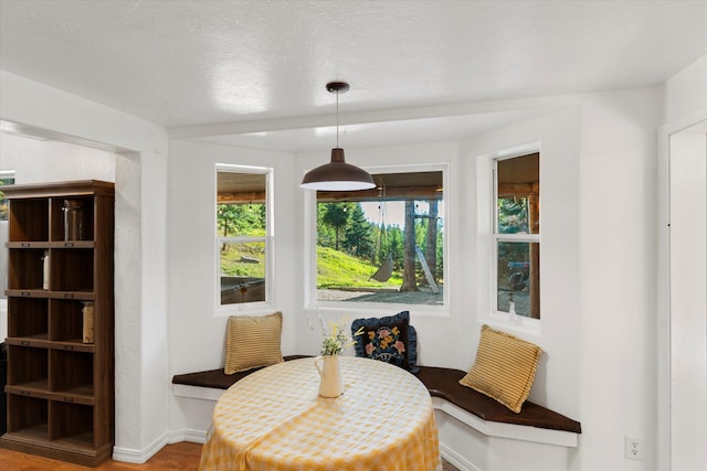 1424 Bierney Creek Rd, Lakeside, MT 59922 - dining space with wood finished floors and baseboards