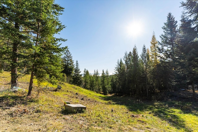 view of local wilderness