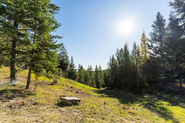 1424 Bierney Creek Rd, Lakeside, MT 59922 - view of wooded area