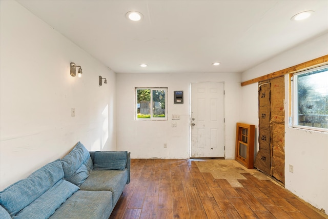 living room featuring hardwood / wood-style floors