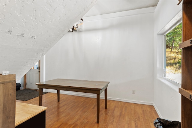 interior space featuring a healthy amount of sunlight, hardwood / wood-style flooring, and lofted ceiling