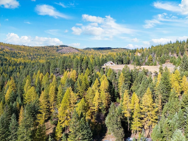 property view of mountains