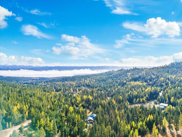 1424 Bierney Creek Rd, Lakeside, MT 59922 - drone / aerial view of a forest