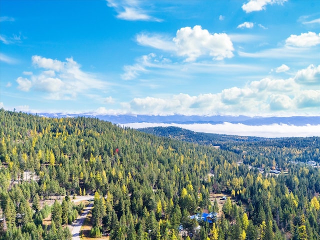 bird's eye view with a mountain view