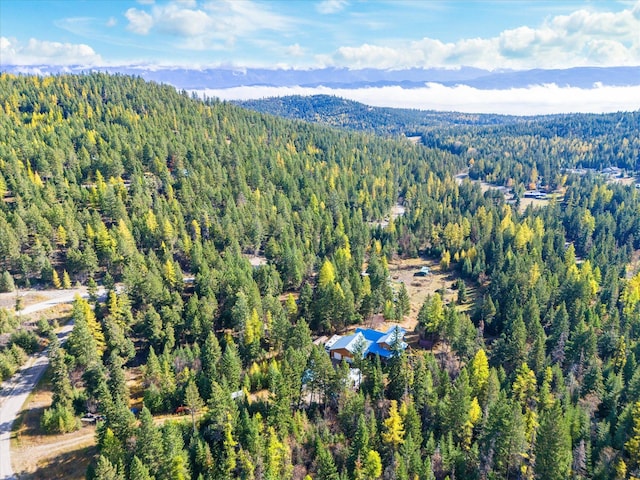 1424 Bierney Creek Rd, Lakeside, MT 59922 - view of property location with a forest and a mountain backdrop