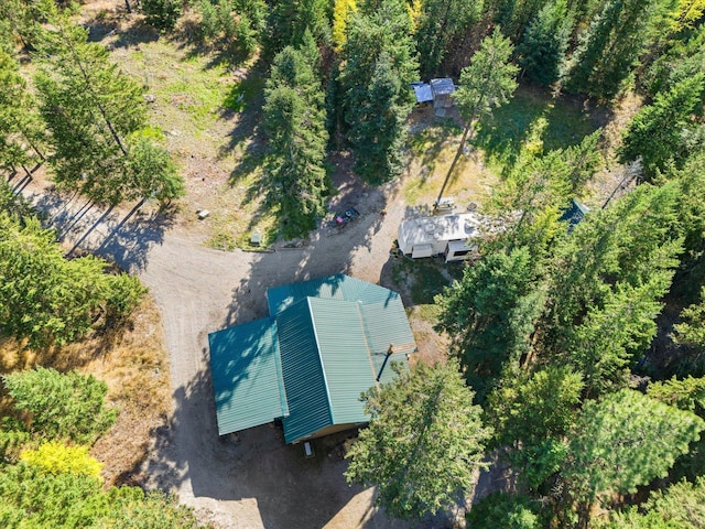 1424 Bierney Creek Rd, Lakeside, MT 59922 - view of subject property