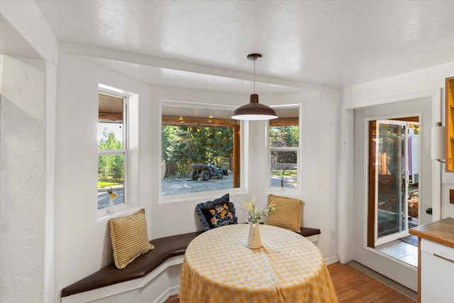 1424 Bierney Creek Rd, Lakeside, MT 59922 - dining area with light wood finished floors