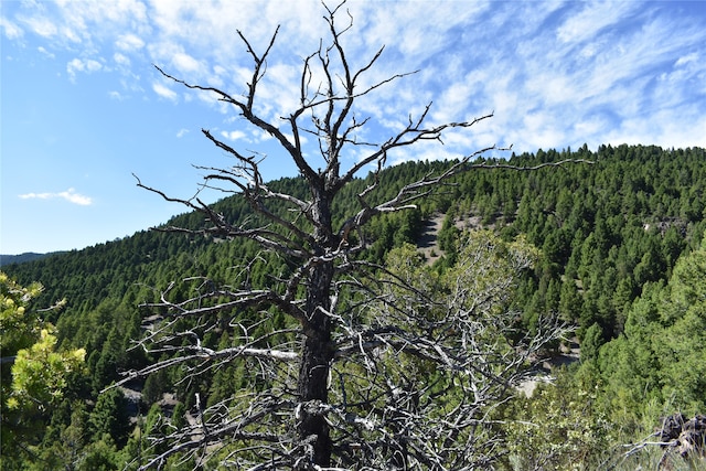 Listing photo 3 for TBD Meadow Gulch Road, Butte MT 59701