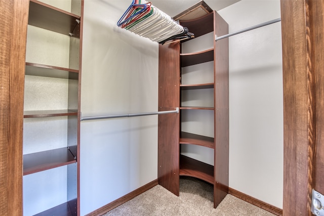 walk in closet featuring carpet flooring