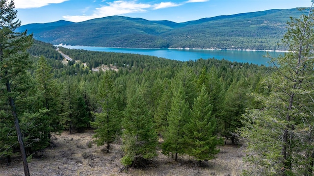 155 Lonesome Ln, Rexford, MT 59930