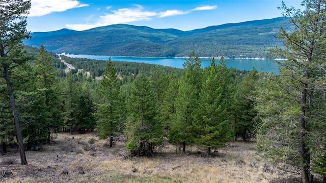 155 Lonesome Ln, Rexford, MT 59930