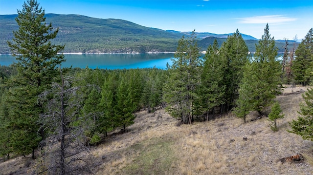 155 Lonesome Ln, Rexford, MT 59930