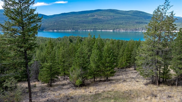 155 Lonesome Ln, Rexford, MT 59930
