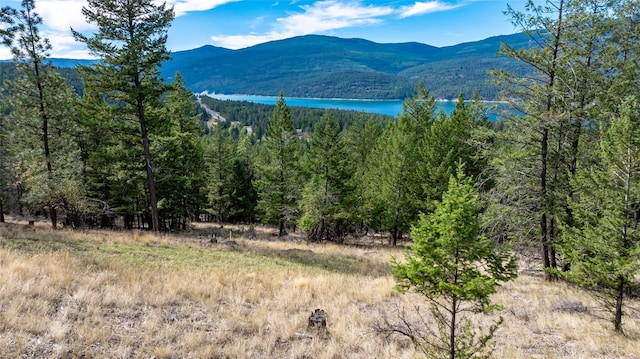 155 Lonesome Ln, Rexford, MT 59930
