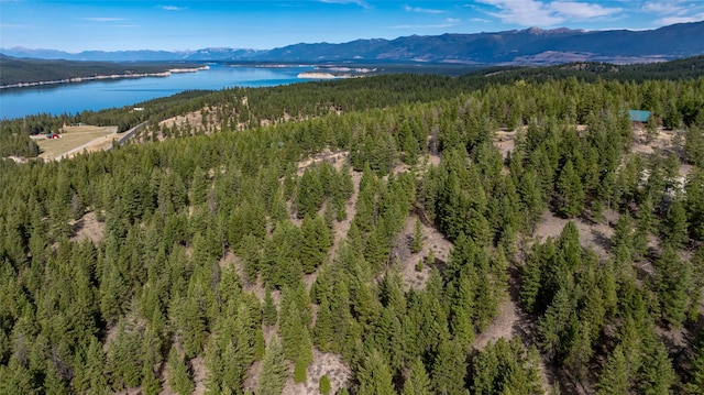 155 Lonesome Ln, Rexford, MT 59930