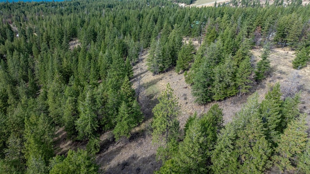 155 Lonesome Ln, Rexford, MT 59930
