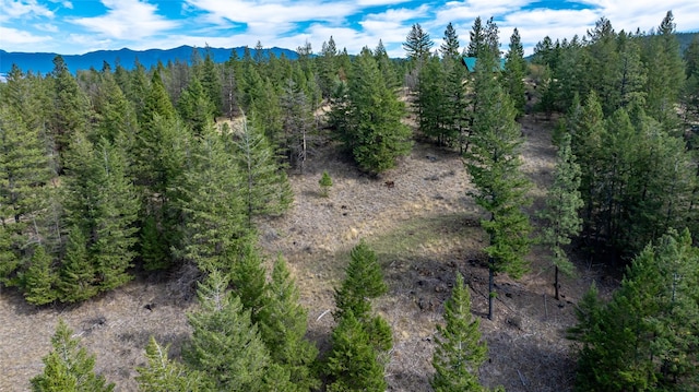 155 Lonesome Ln, Rexford, MT 59930