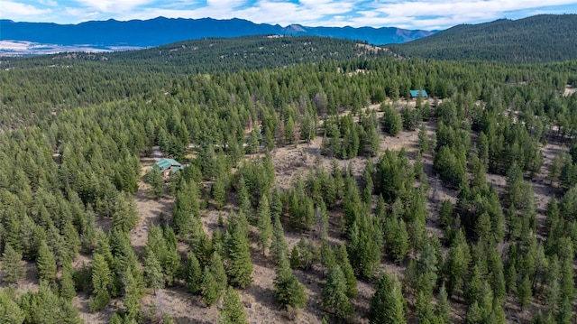 155 Lonesome Ln, Rexford, MT 59930