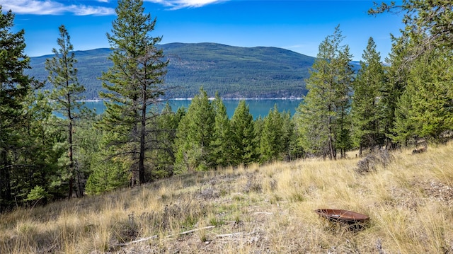 155 Lonesome Ln, Rexford, MT 59930
