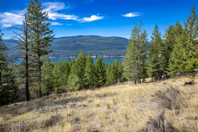 155 Lonesome Ln, Rexford, MT 59930