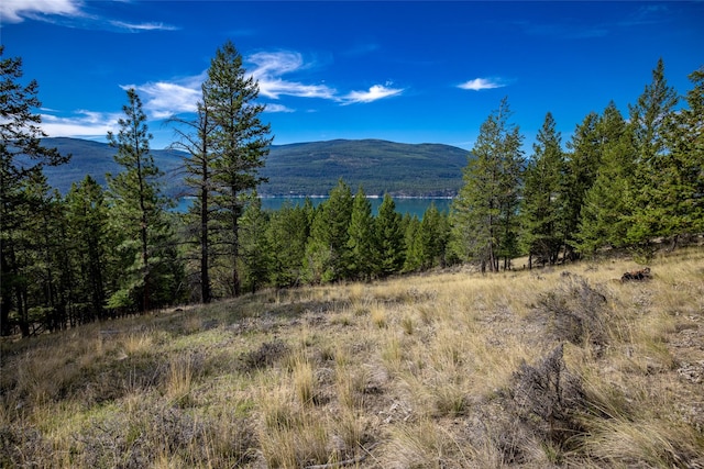 155 Lonesome Ln, Rexford, MT 59930