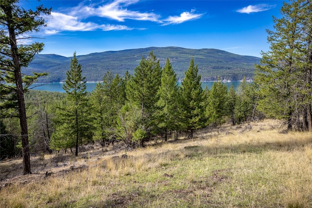 155 Lonesome Ln, Rexford, MT 59930