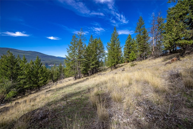 155 Lonesome Ln, Rexford, MT 59930