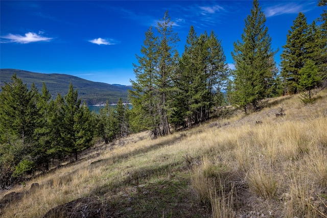 155 Lonesome Ln, Rexford, MT 59930