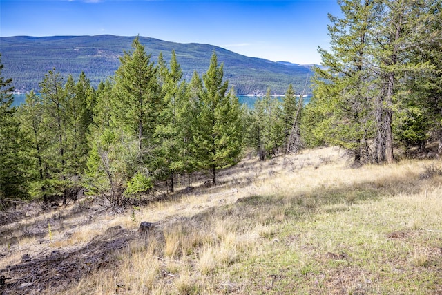155 Lonesome Ln, Rexford, MT 59930