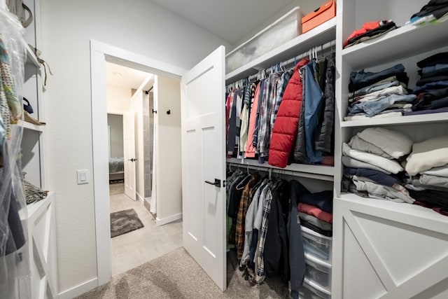 spacious closet with light carpet